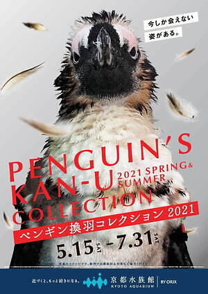 水族館イベント情報 近畿 四国 中国 九州 沖縄編 人気旅行スポット 海遊館や沖縄美ら海水族館など ファッションプレス