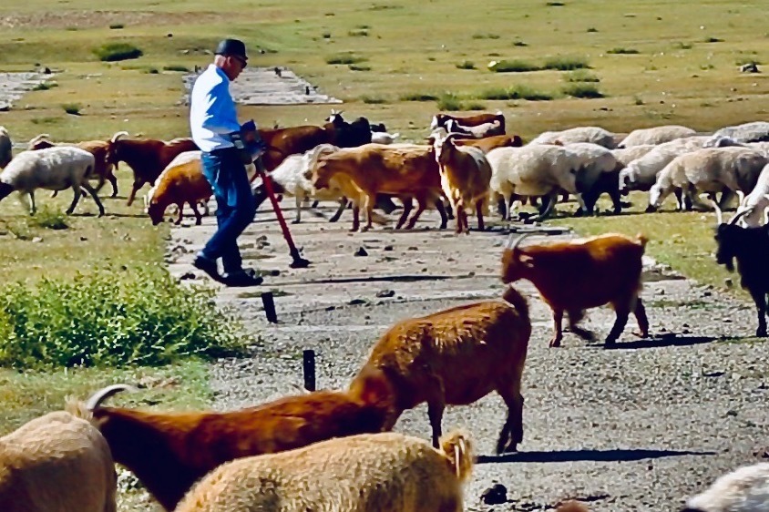 SUV(自動車)｜デザイナー・藤原大の個展、茅ヶ崎市美術館で - “人間と自然の関係性”を探るアート作品を展観