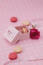 ラデュレ“チワワ”のローズ風味マカロン＆“マルチーズ”マカロンボックス、渋谷の新店限定で｜写真6