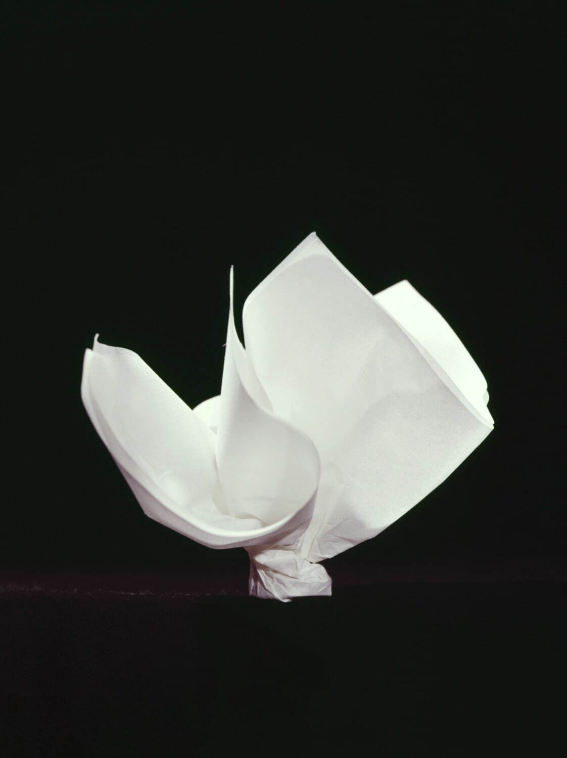 《おひねり》撮影：酒井道一 (岡秀行著『包』毎日新聞社、1972年 所収)