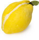 ラッシュ“子犬＆抹茶ロール”のバブルバーが全国で、ひんやり爽快スイートミントの香りも｜写真6