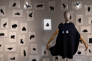 元「ネ・ネット」髙島一精の個展「This is not a cat.：夜の動物園」が京都で