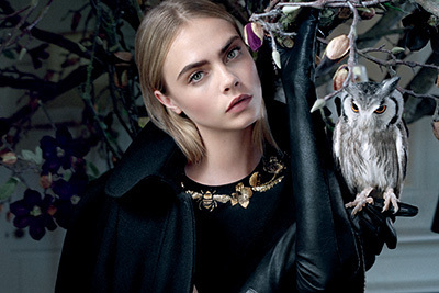 マルベリーの秋冬キャンペーン - モデルのカーラを囲むのは”本物”のフクロウたち