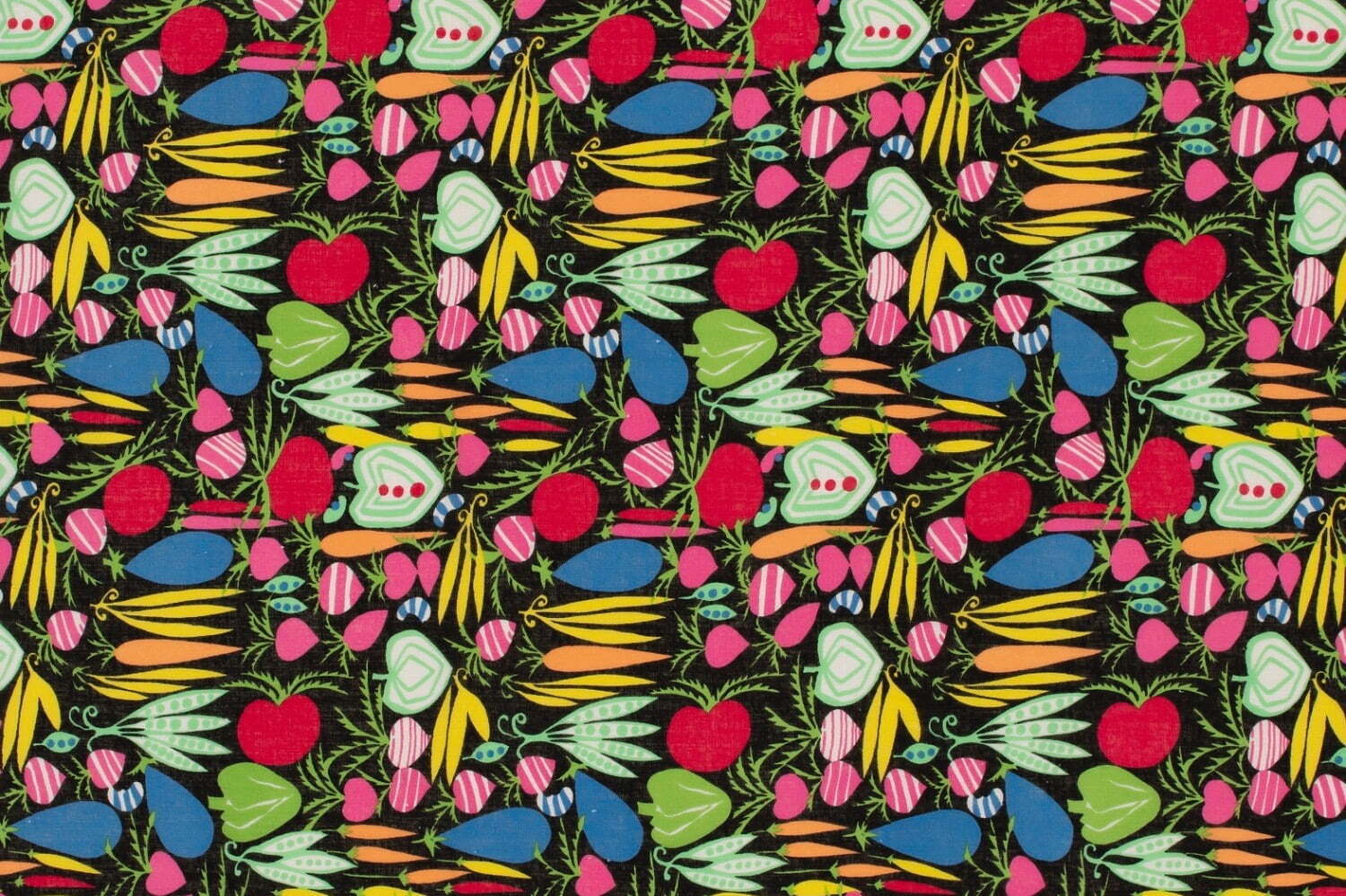 京都国立近代美術館