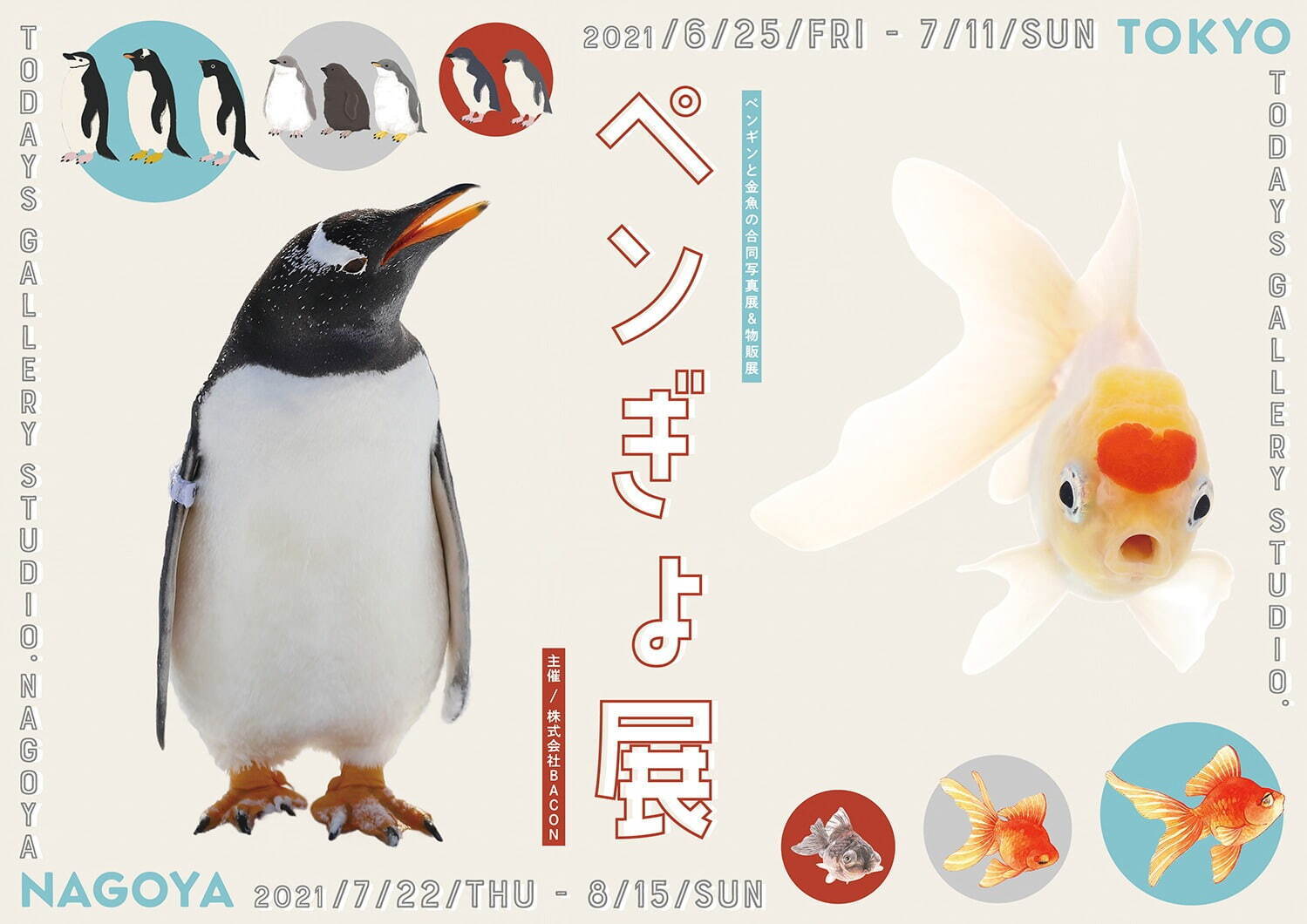 ペンギン×金魚の写真展「ペンぎょ展 2021」東京・名古屋で、“涼と癒し”の150点以上展示＆物販も｜写真7