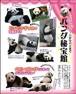 渾身のパンダ本『パンダ自身 ２頭め』充実のグラビアページ＆『呪術廻戦』パンダの関智一も登場｜写真11