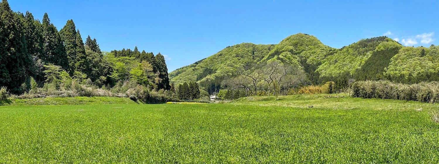 建設予定地(現況)