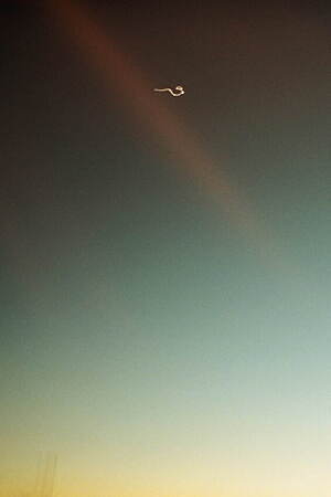 サージ(SERGE) 2021-22年秋冬ウィメンズコレクション  - 写真5