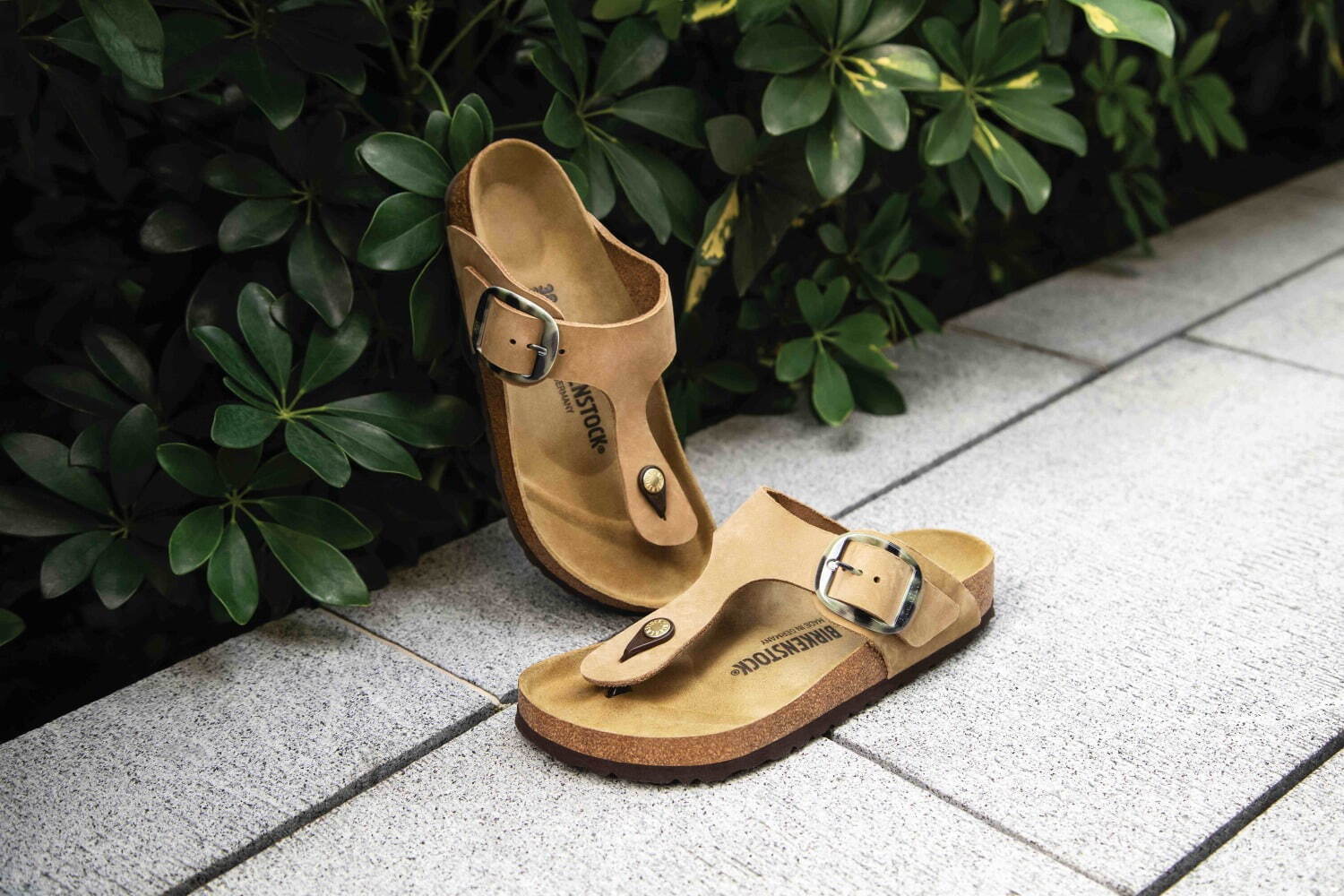 BIRKENSTOCK ビルケンシュトック正規販売店 W オイルドヌバックレザー Big ビッグバックル レザーサンダル Buckle ギゼー  LADY'S 1018745 2021SS Gizeh Cognac