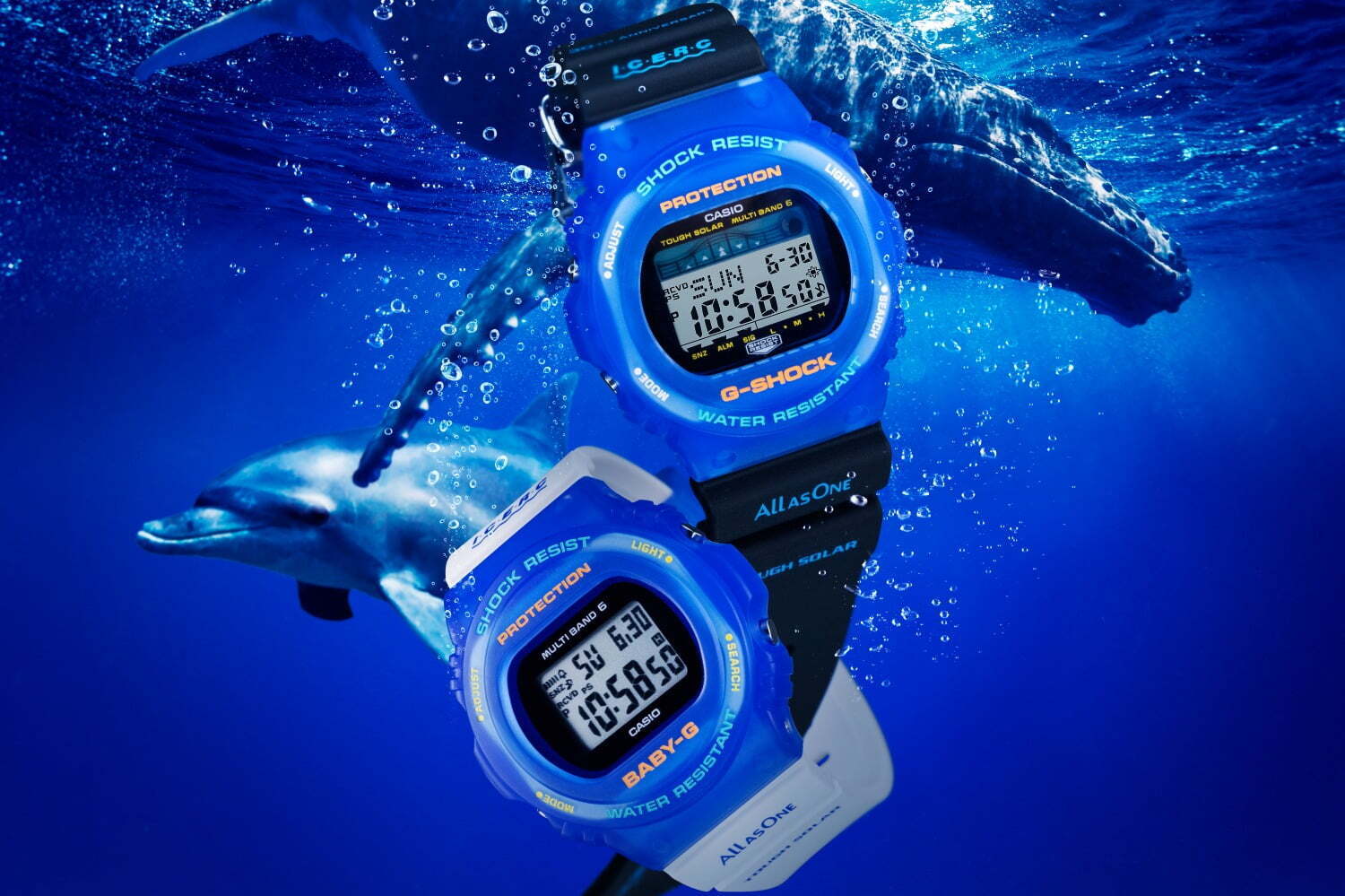 G-SHOCK&BABY-G“イルカ・クジラ”腕時計、イルカたちが浮かぶバック ...