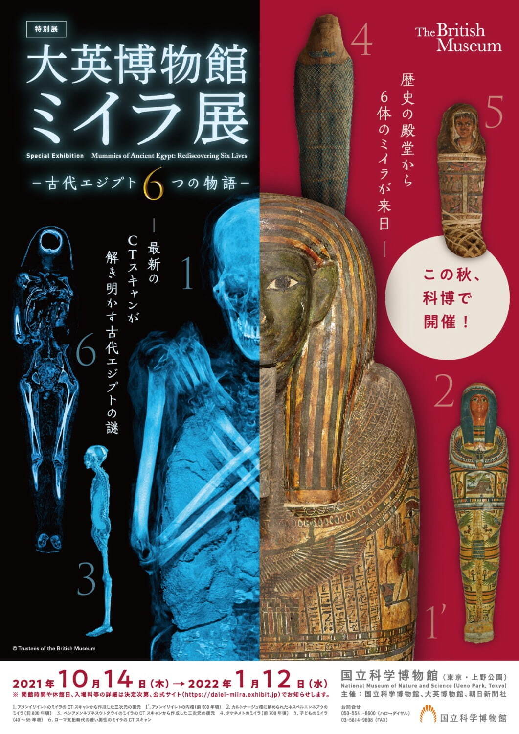 特別展「大英博物館ミイラ展 古代エジプト6つの物語」東京・神戸で、CTスキャンで“ミイラの謎”を解明｜写真1