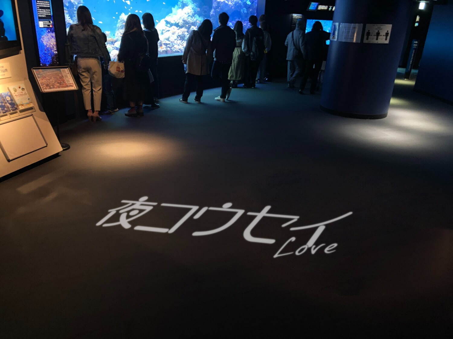 サンシャイン水族館“ヤコウセイ”テーマの夜限定イベント、暗闇で光る生物の展示＆Adoのコラボ演出｜写真13