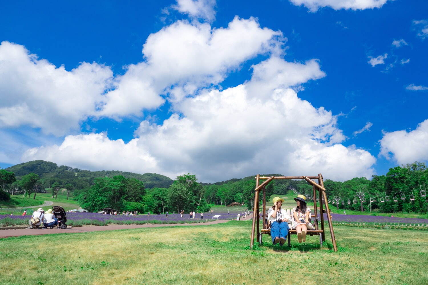 約5万株のラベンダーが咲く群馬「たんばらラベンダーパーク」摘み取り体験や“ひまわりガーデン”も｜写真7