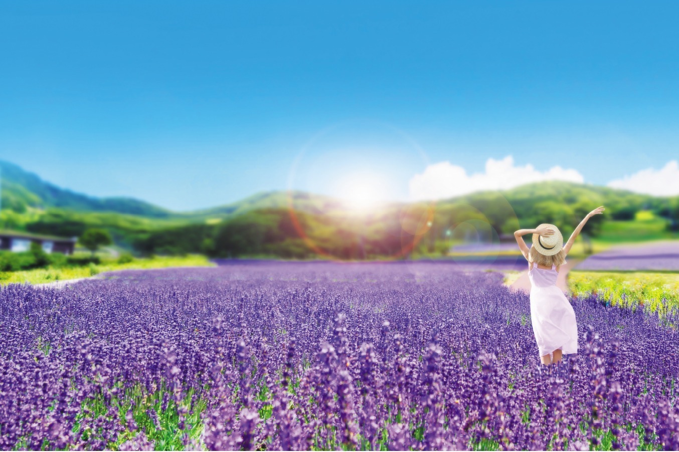 たんばらラベンダーパーク「たんばらラベンダーパーク」