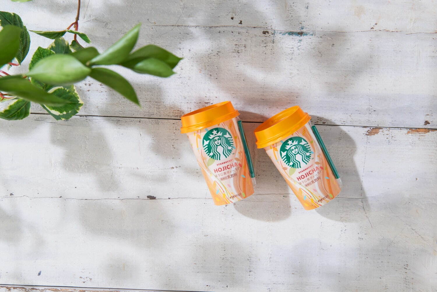 スターバックス(Starbucks Coffee) スターバックス ほうじ茶ティーラテ｜写真5