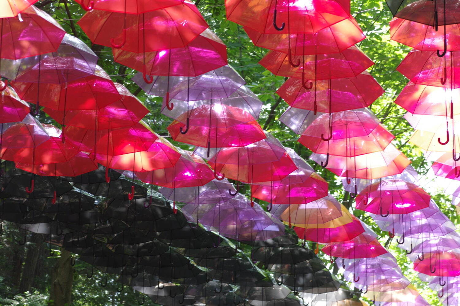 ムーミンバレーパーク＆メッツァビレッジ、約2,000本のカラフルな傘が空を覆う限定イベント｜写真4