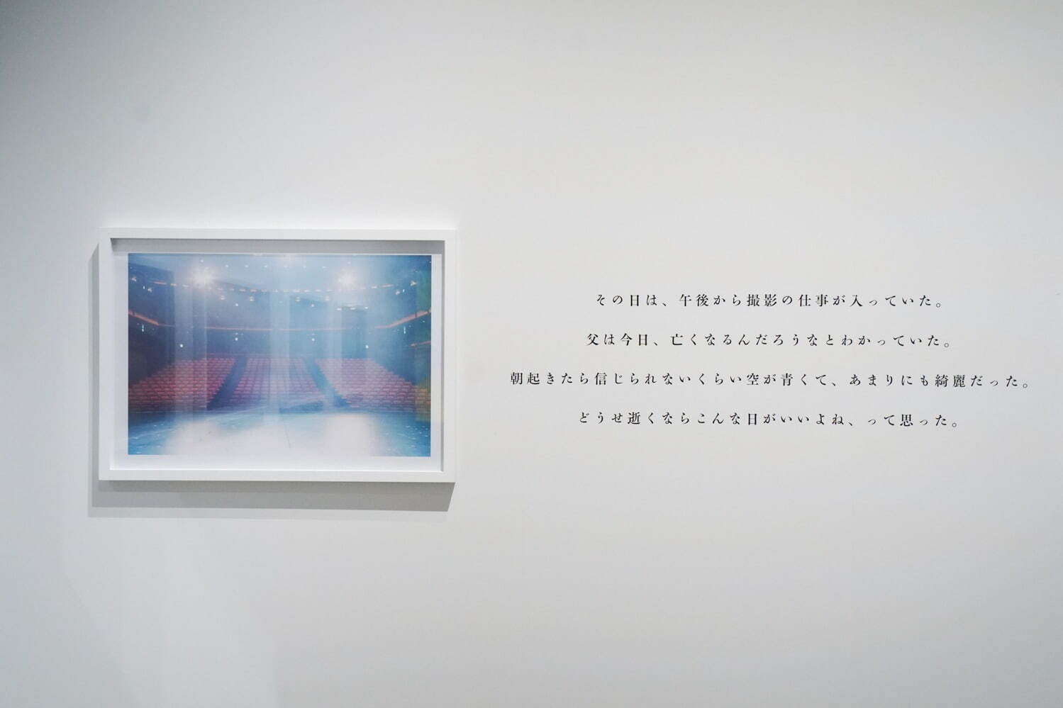 蜷川実花の大規模個展が上野の森美術館で -「虚構と現実」をテーマに写真を展示、“桜”に囲まれる空間も｜写真28