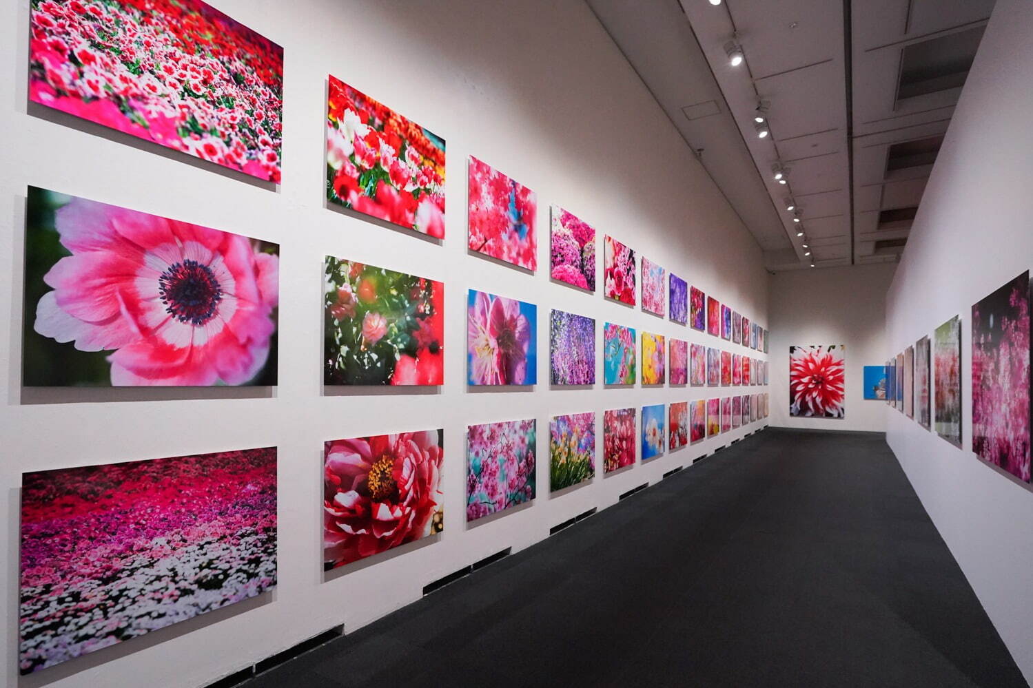 蜷川実花の大規模個展が上野の森美術館で -「虚構と現実」をテーマに写真を展示、“桜”に囲まれる空間も｜写真19