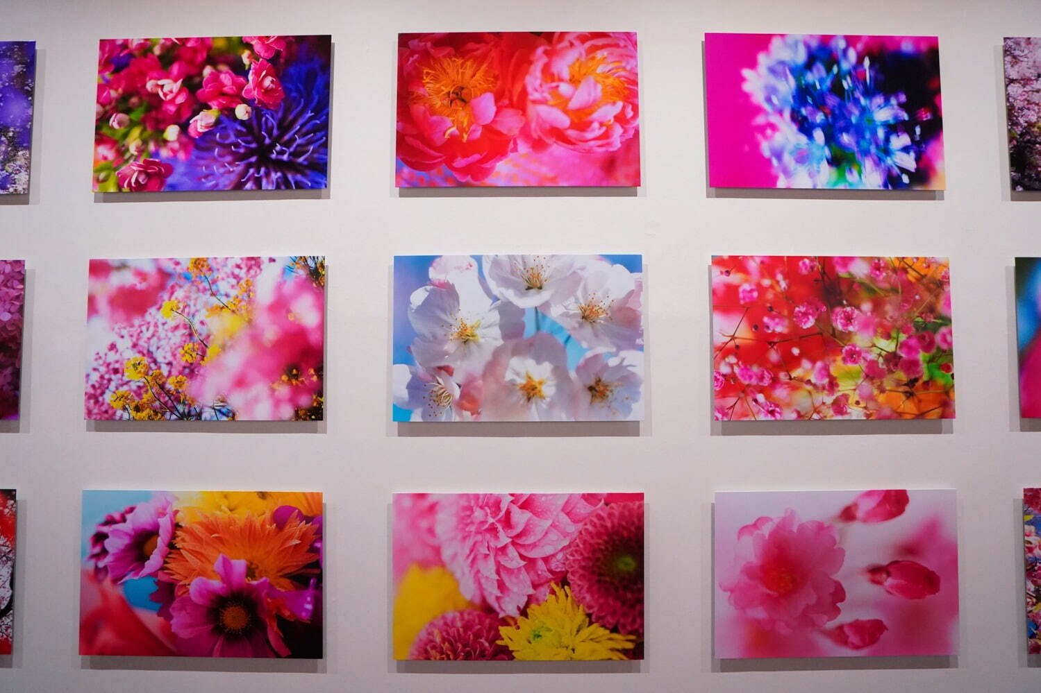 蜷川実花の大規模個展が上野の森美術館で -「虚構と現実」をテーマに写真を展示、“桜”に囲まれる空間も｜写真22