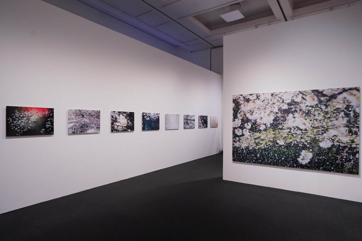 蜷川実花の大規模個展が上野の森美術館で -「虚構と現実」をテーマに写真を展示、“桜”に囲まれる空間も｜写真16