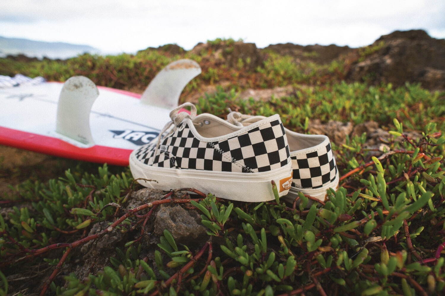 ヴァンズ(Vans) エコ セオリー｜写真2