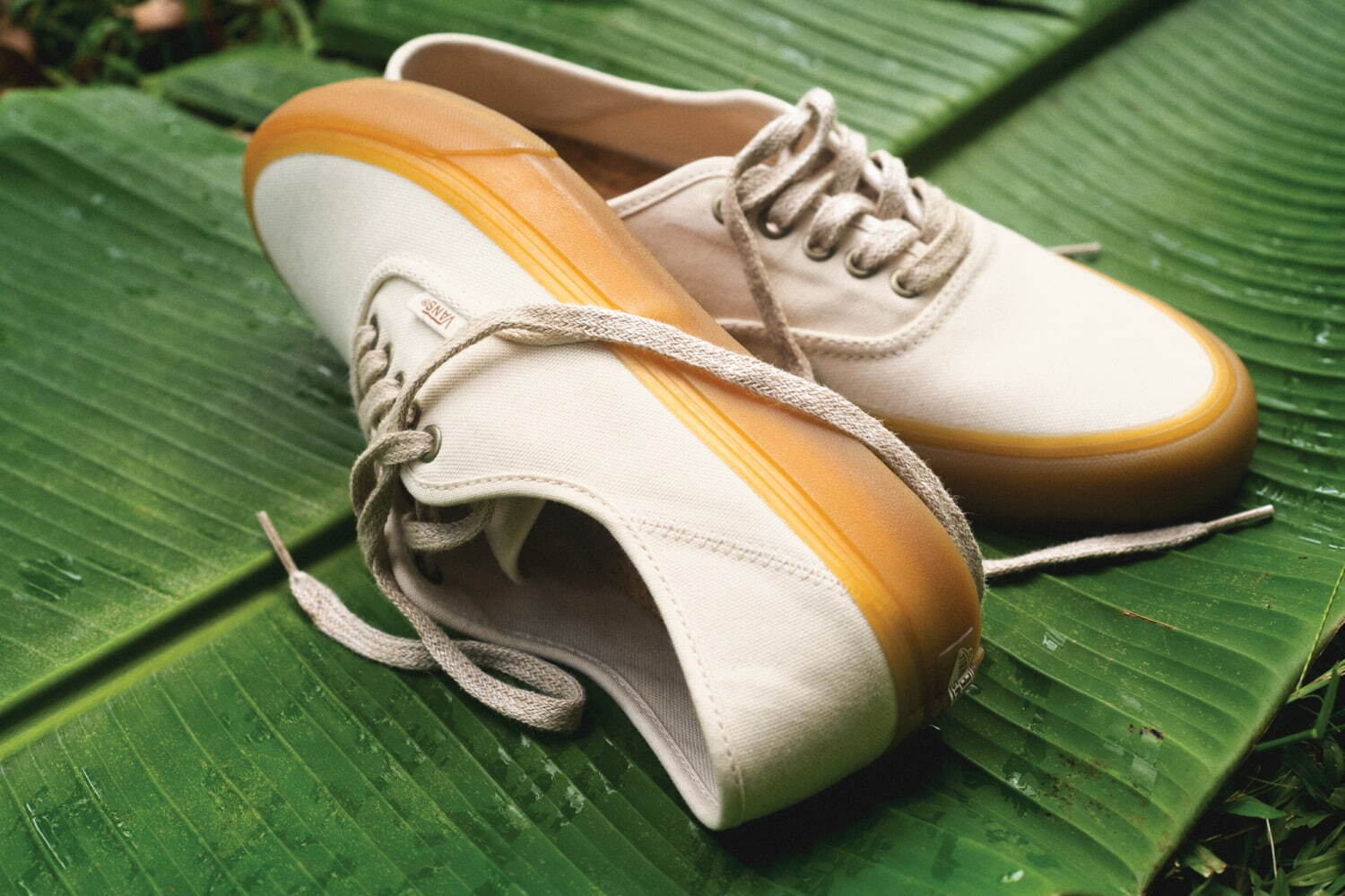ヴァンズ(Vans) エコ セオリー｜写真6