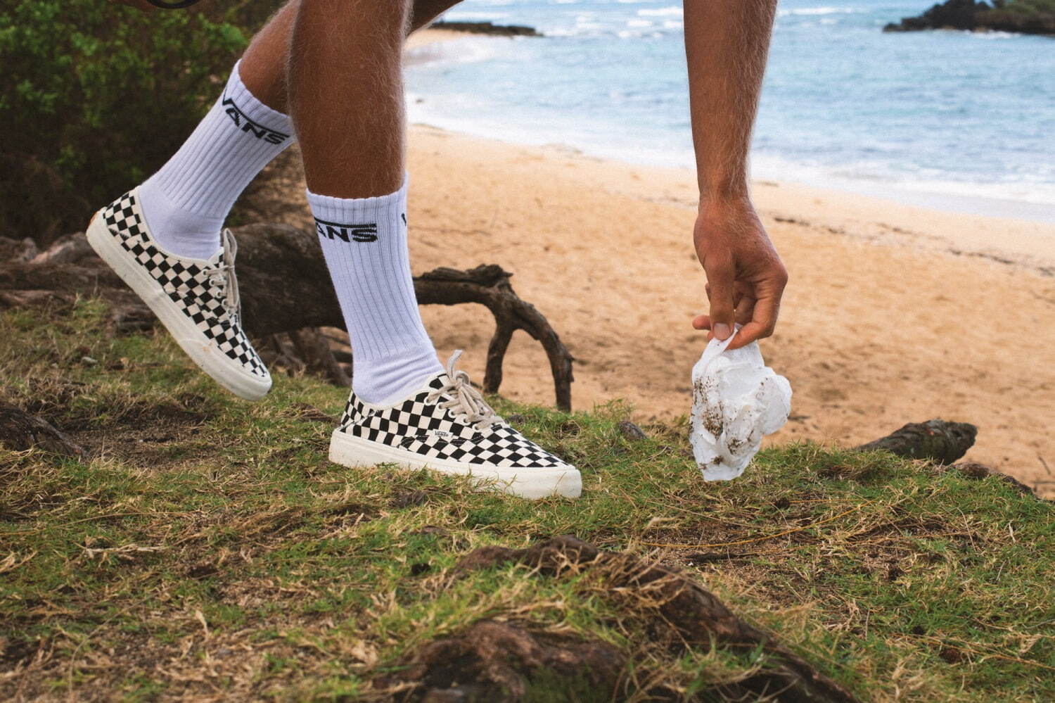 ヴァンズ(Vans) エコ セオリー｜写真4