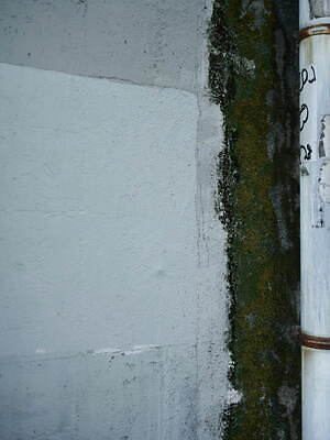 ヤントル(YANTOR) 2021-22年秋冬ウィメンズ&メンズコレクション  - 写真4