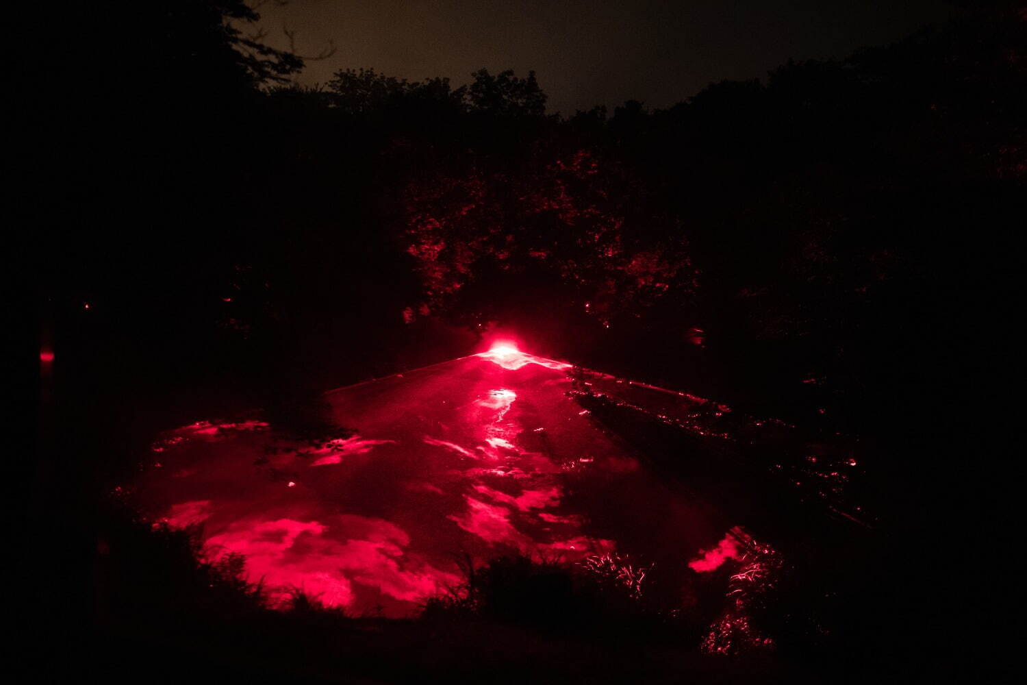 夜の森×デジタルアート「カムイルミナ」北海道阿寒湖畔で、自然＆アイヌ文化を五感で楽しむナイトウォーク｜写真11