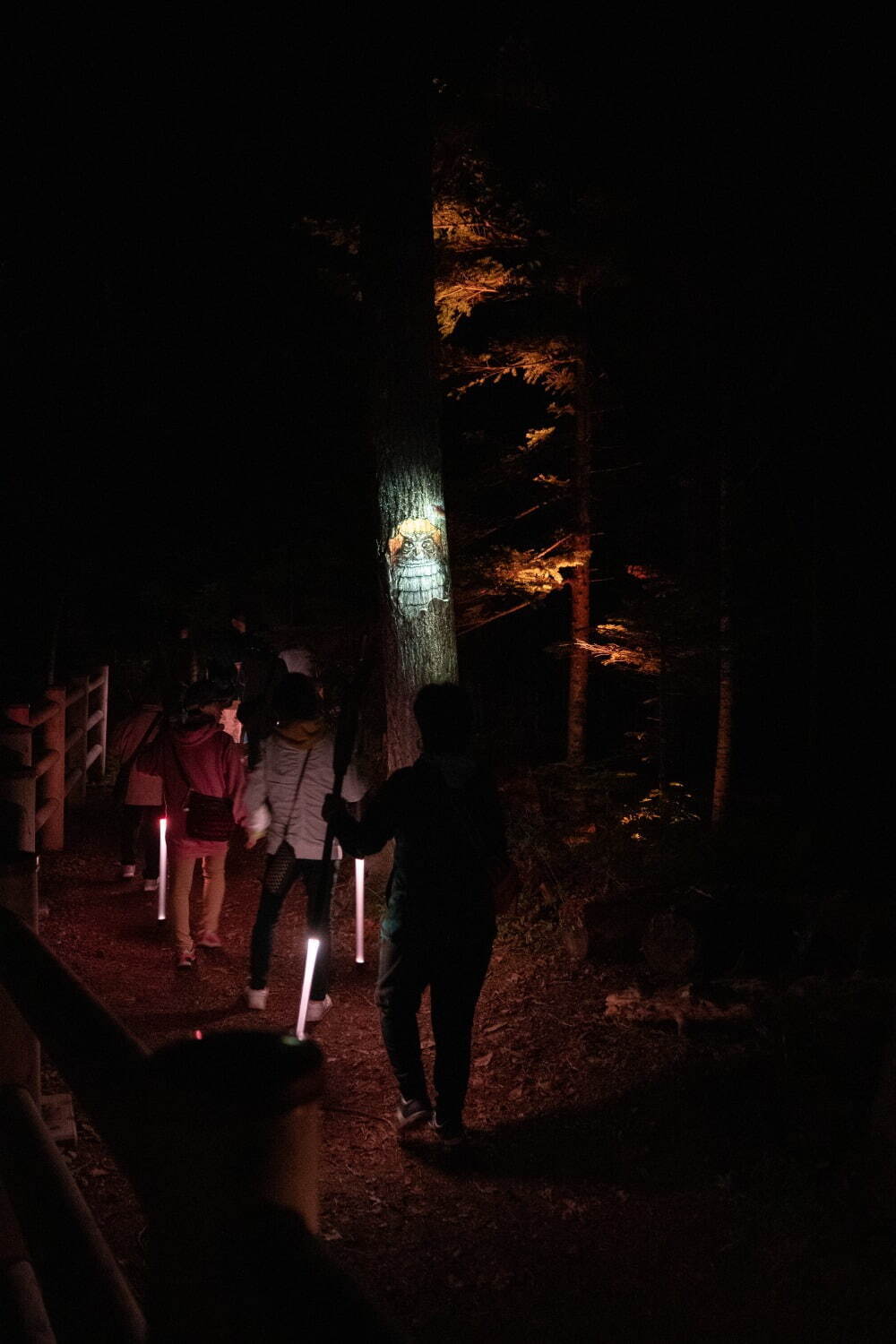 夜の森×デジタルアート「カムイルミナ」北海道阿寒湖畔で、自然＆アイヌ文化を五感で楽しむナイトウォーク｜写真8
