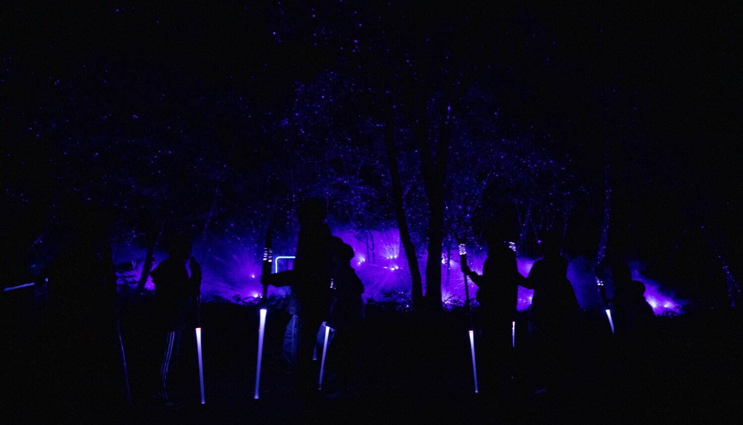 夜の森×デジタルアート「カムイルミナ」北海道阿寒湖畔で、自然＆アイヌ文化を五感で楽しむナイトウォーク｜写真10