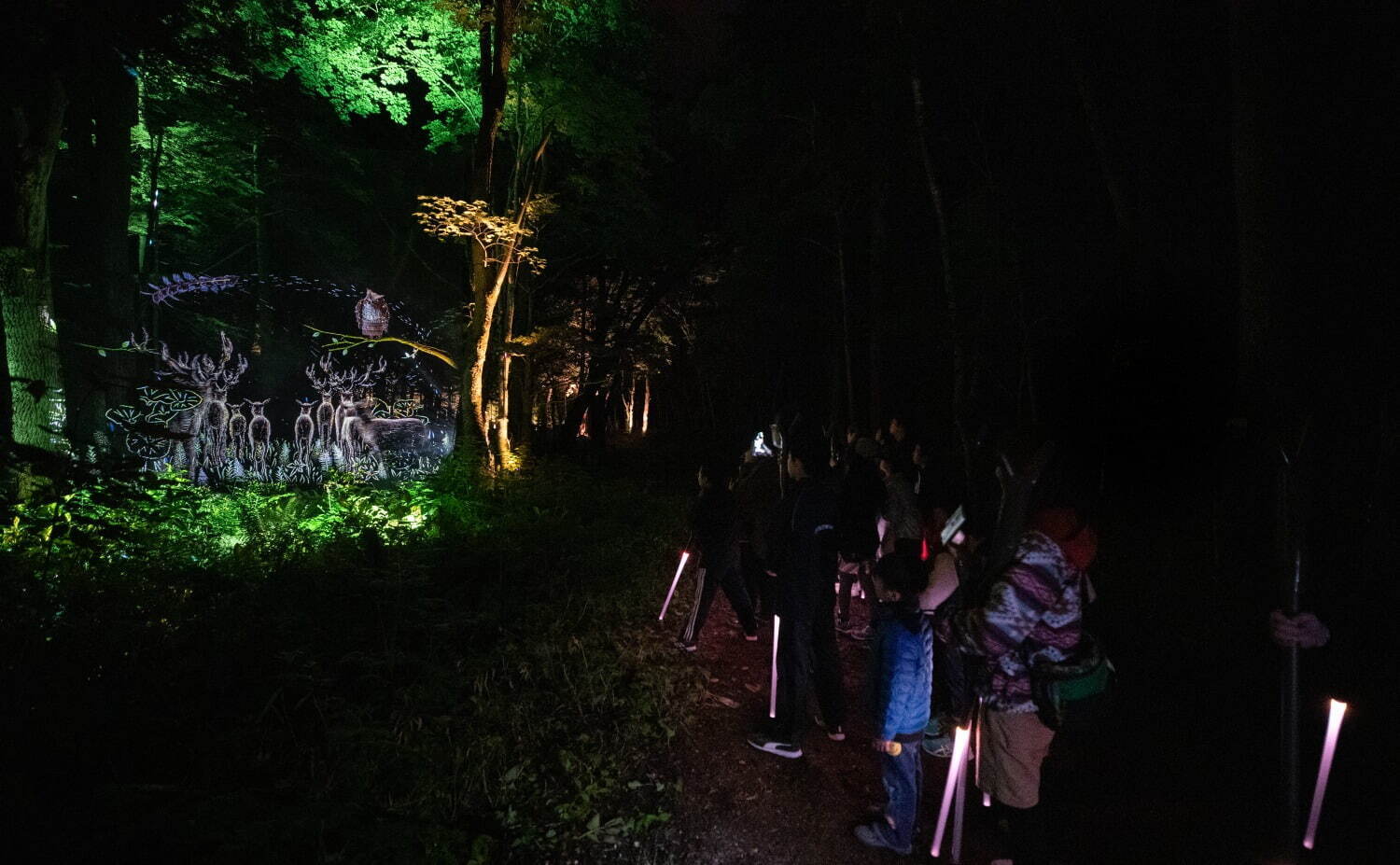 夜の森×デジタルアート「カムイルミナ」北海道阿寒湖畔で、自然＆アイヌ文化を五感で楽しむナイトウォーク｜写真15