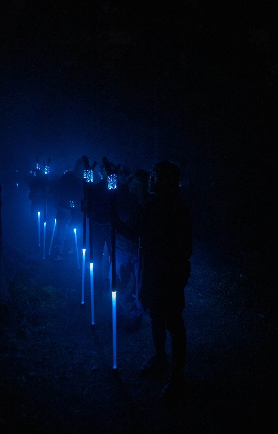 夜の森×デジタルアート「カムイルミナ」北海道阿寒湖畔で、自然＆アイヌ文化を五感で楽しむナイトウォーク｜写真6