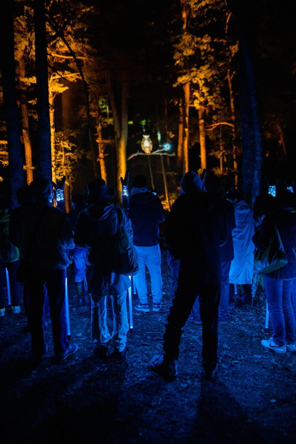 夜の森×デジタルアート「カムイルミナ」北海道阿寒湖畔で、自然＆アイヌ文化を五感で楽しむナイトウォーク｜写真4