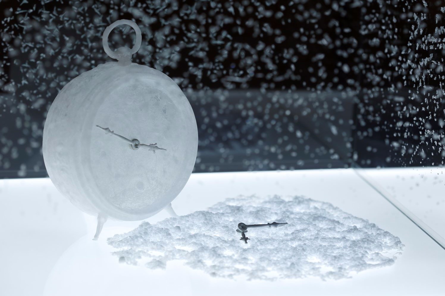 SUV(自動車)｜京都市京セラ美術館「コレクションとの対話：6つの部屋」青木淳らが所蔵品と“対話”・展示空間を構成