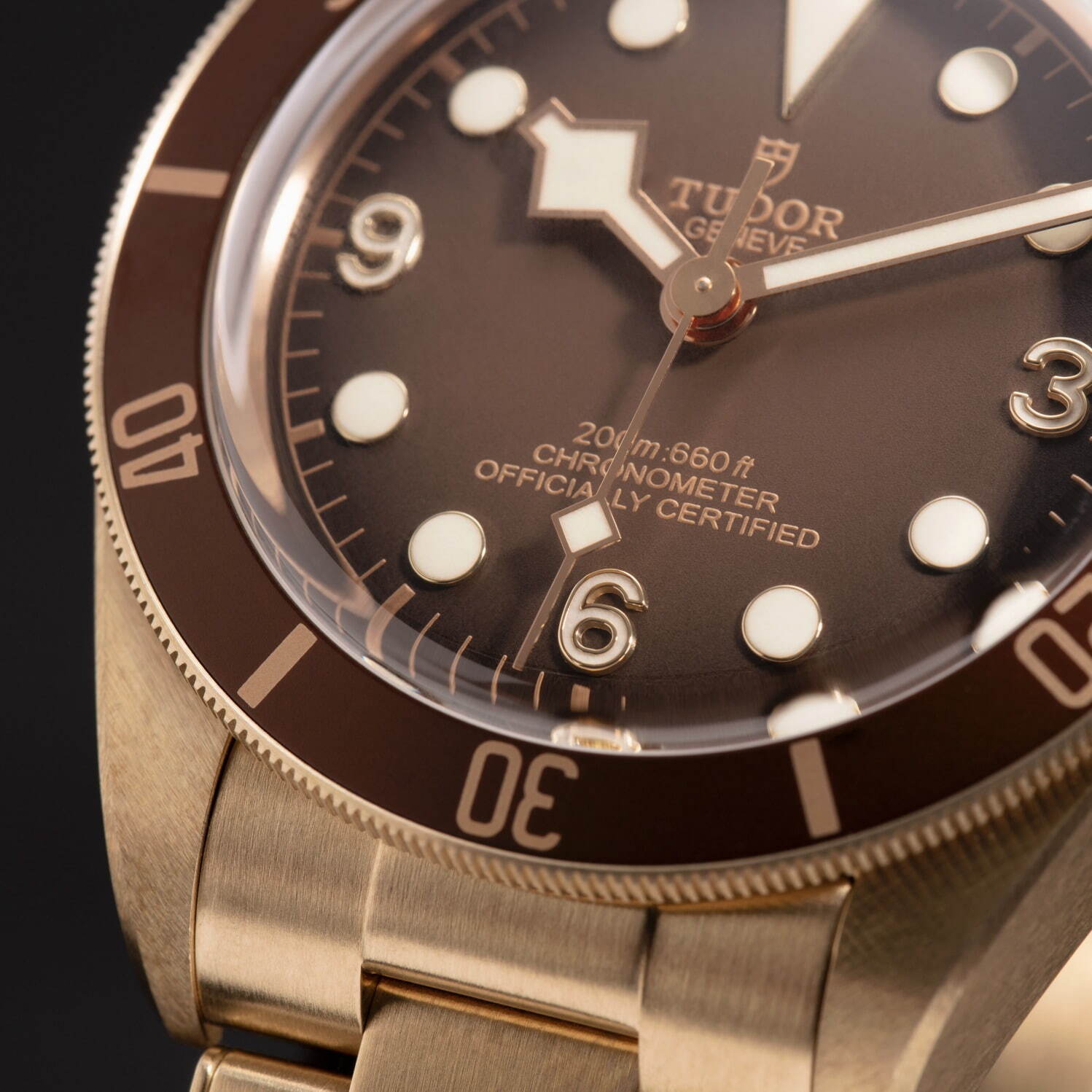 チューダー(TUDOR) ブラックベイ フィフティ-エイト ブロンズ ブティックエディション｜写真7