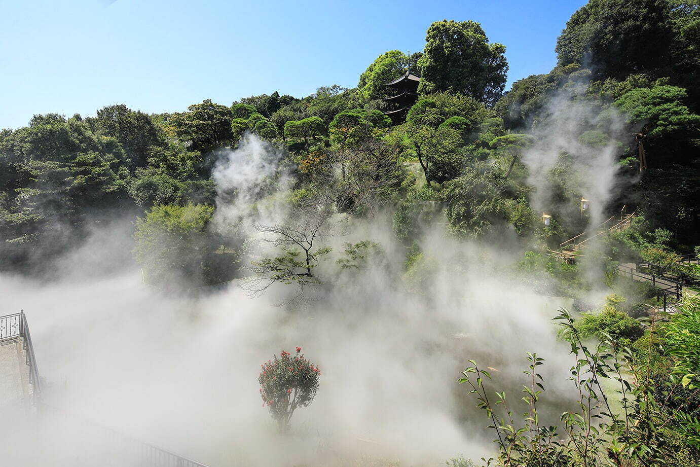 ホテル椿山荘東京の庭園がミスト量120％の「“涼”雲海」に、江戸風鈴や竹籠灯りと楽しむ夏の涼｜写真1