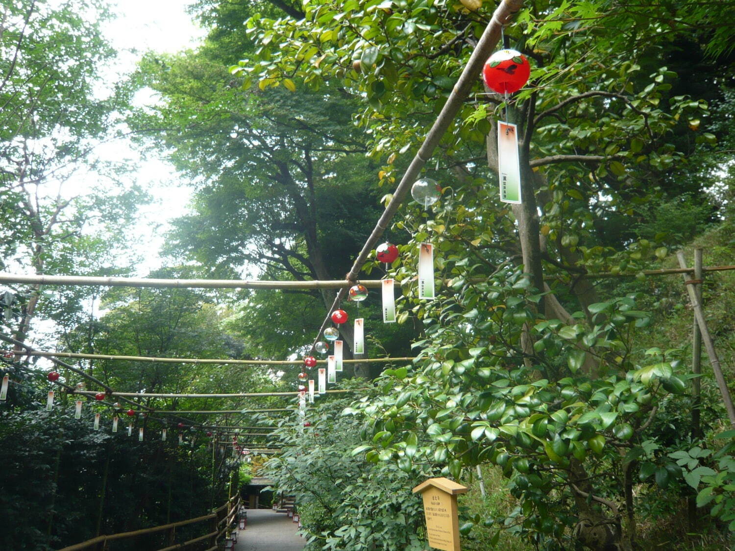 ホテル椿山荘東京の庭園がミスト量120％の「“涼”雲海」に、江戸風鈴や竹籠灯りと楽しむ夏の涼｜写真11