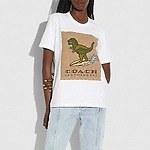 コーチ“スポーツ姿”の恐竜レキシ―柄トート＆三つ折り財布など、野球やサーフィンがモチーフ｜写真33