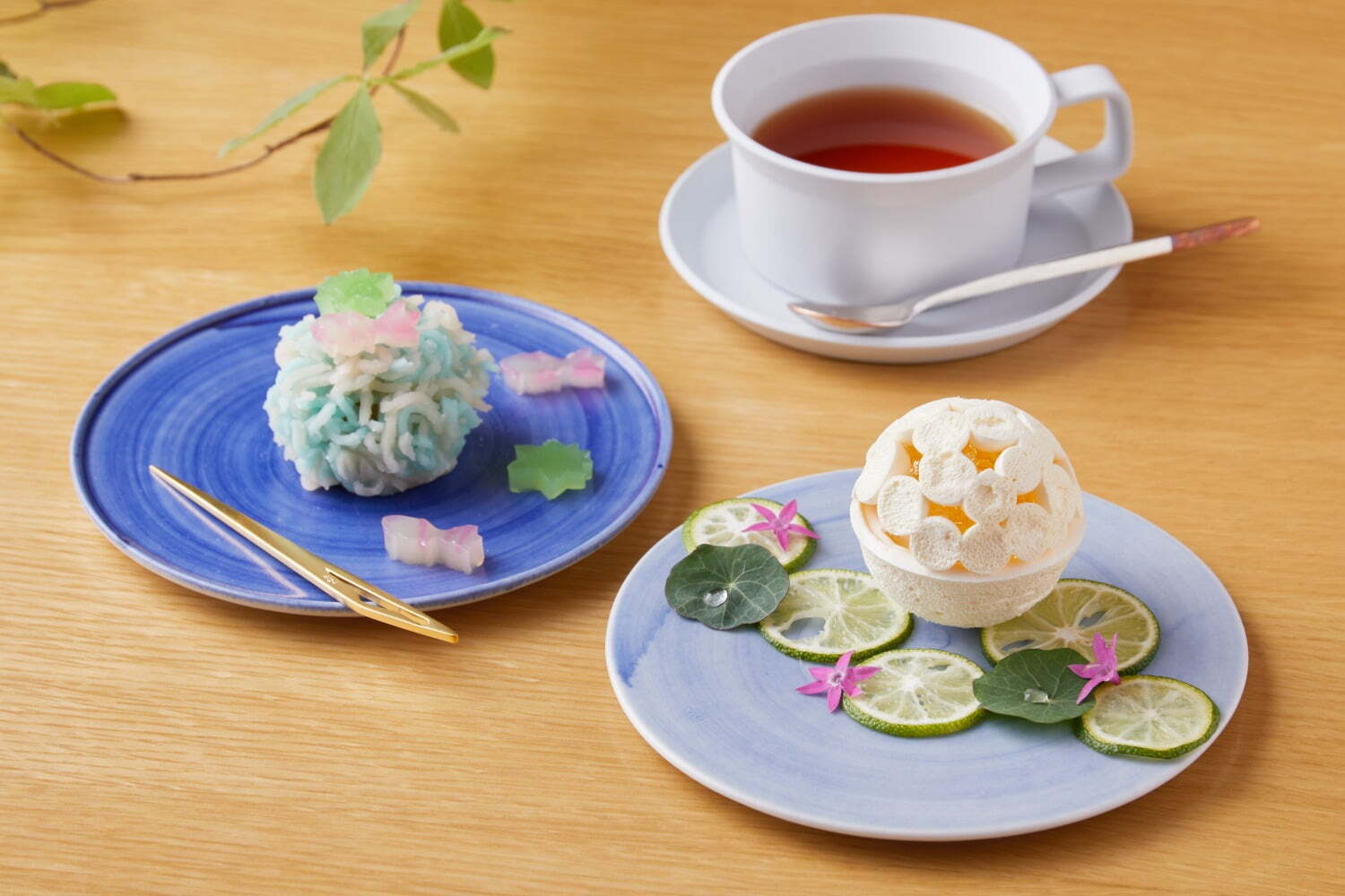 和菓子｜金魚が泳ぐ“涼”和菓子とモネ「睡蓮」風スイーツを伝統的菓子道具と楽しむ、ホテルカンラ京都のイベント