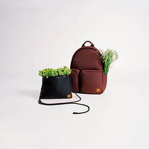 ケンゾー(KENZO) タイガークレスト|写真6