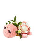 「ハワイフェア」阪急うめだ本店で、“ロコモコ”バーガーやマラサダなどローカルフード＆ハワイ雑貨｜写真14