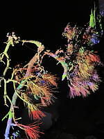 ジョンマスターオーガニック“クレンジング＆洗顔現品入り”限定スキンケアキット、ヨシロットンとコラボ｜写真7