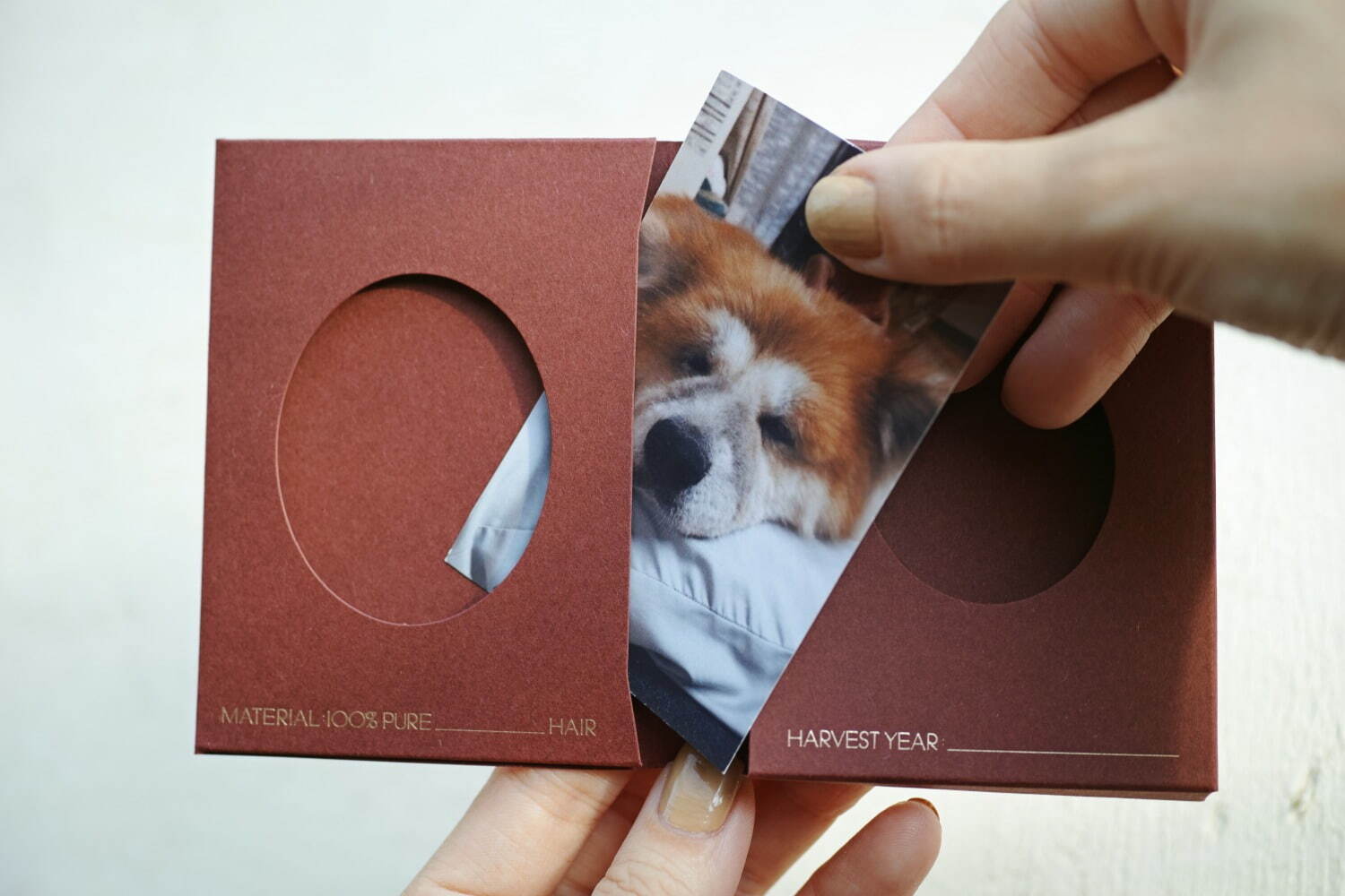 “愛犬の抜け毛”100%で糸を作る新商品「SPINNING MEMORIES」柏の葉T-SITEで｜写真4