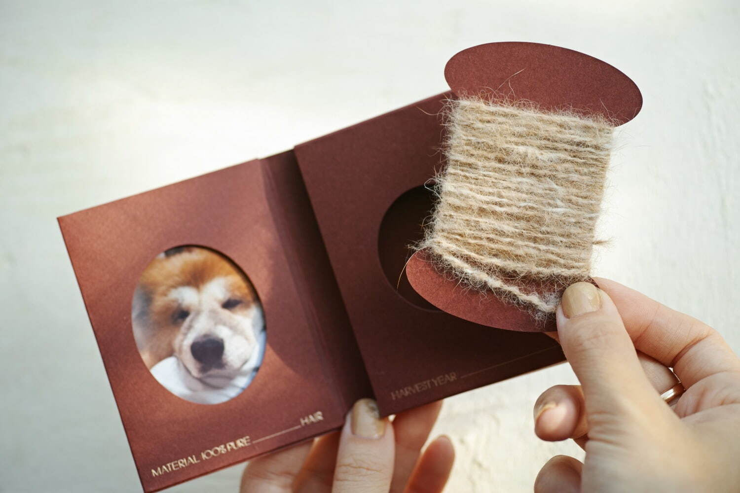 “愛犬の抜け毛”100%で糸を作る新商品「SPINNING MEMORIES」柏の葉T-SITEで｜写真5