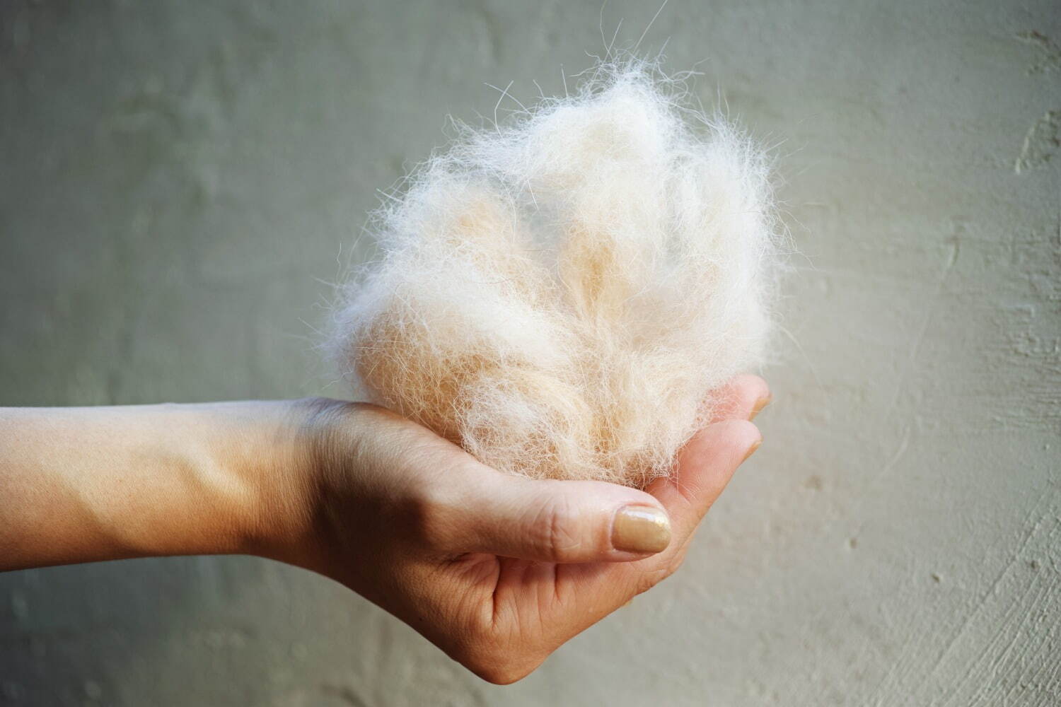“愛犬の抜け毛”100%で糸を作る新商品「SPINNING MEMORIES」柏の葉T-SITEで｜写真6