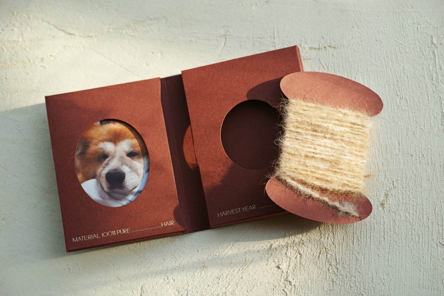 “愛犬の抜け毛”100%で糸を作る新商品「SPINNING MEMORIES」柏の葉T-SITEで｜写真1