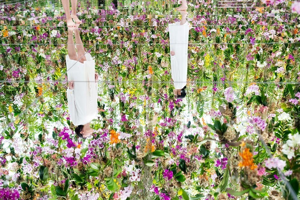 東京・豊洲「チームラボプラネッツ TOKYO DMM」13,000株のランの花に埋め尽くされる新作品｜写真7