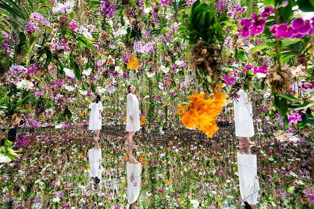 東京・豊洲「チームラボプラネッツ TOKYO DMM」13,000株のランの花に埋め尽くされる新作品｜写真3