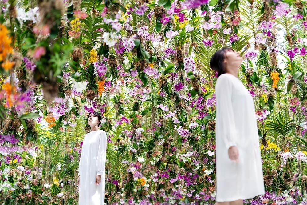 東京・豊洲「チームラボプラネッツ TOKYO DMM」13,000株のランの花に埋め尽くされる新作品｜写真10